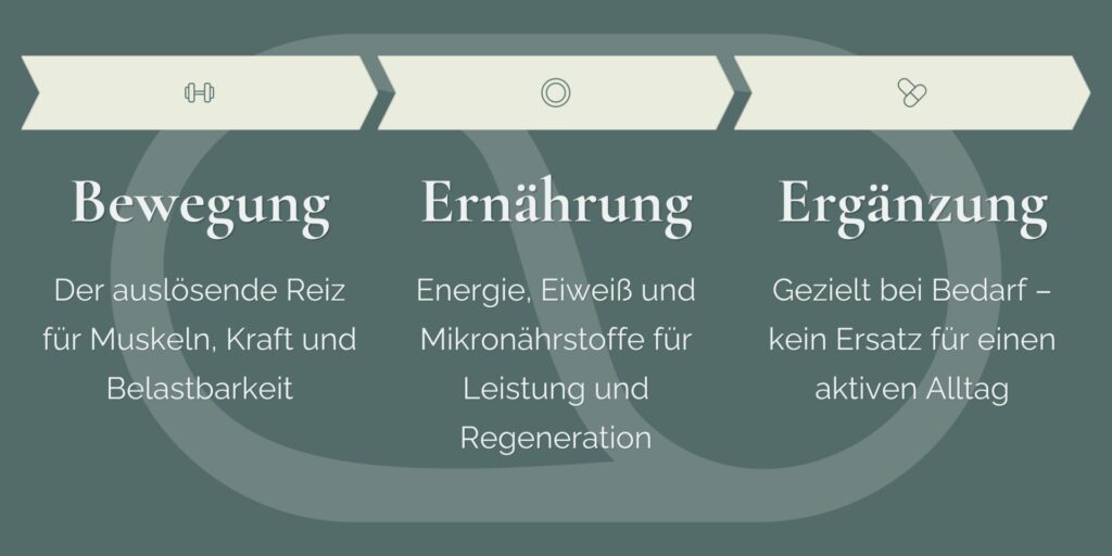 3 Säulen des gesunden Alterns
